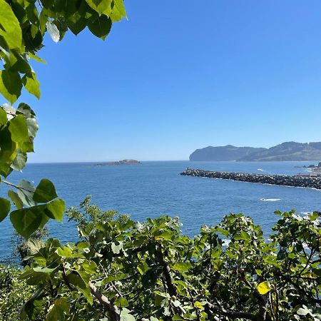 Bertoko Urdaibai II Daire Bermeo Dış mekan fotoğraf